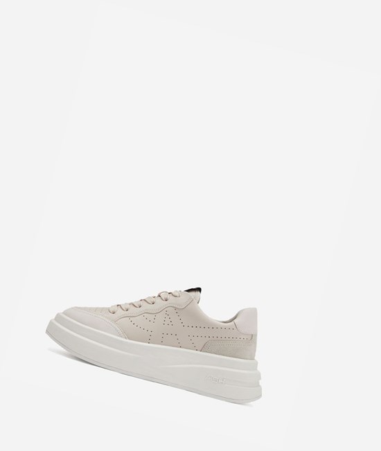 Low-Top Sneakers ASH Impuls Femme Shell | KOW-143965