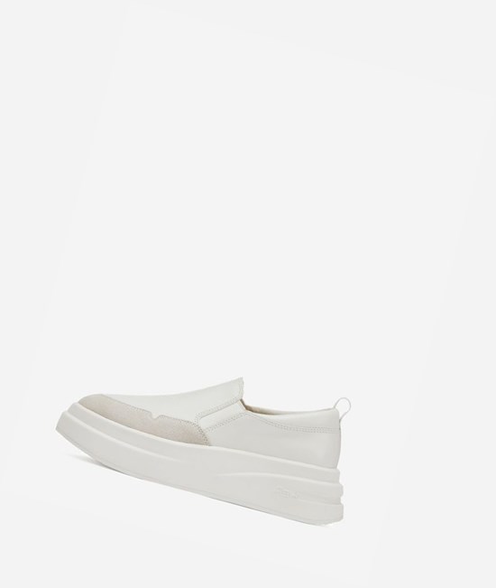 Low-Top Sneakers ASH Intox Femme Blanche Blanche | ANG-564172