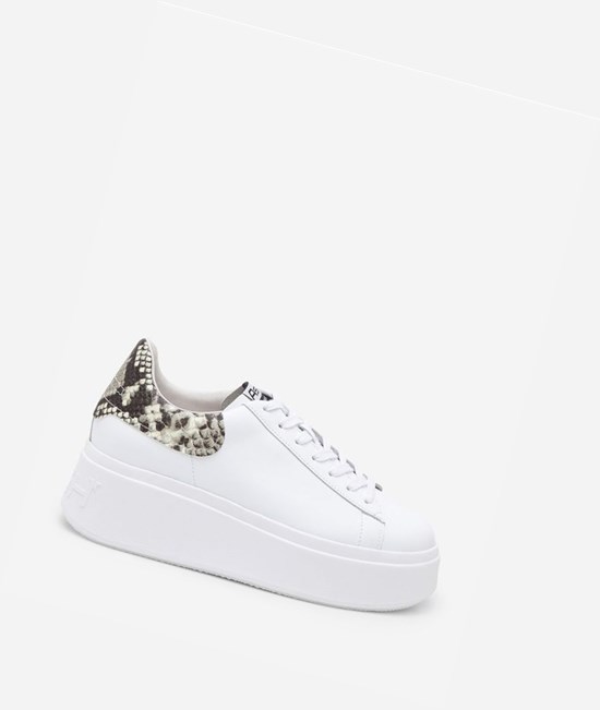 Low-Top Sneakers ASH Moby Femme Blanche | EQG-051843