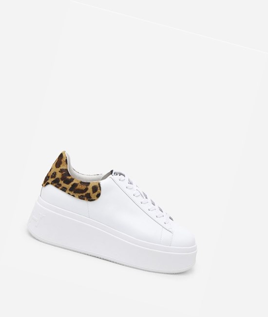 Low-Top Sneakers ASH Moby Femme Blanche Noir | GZB-581749