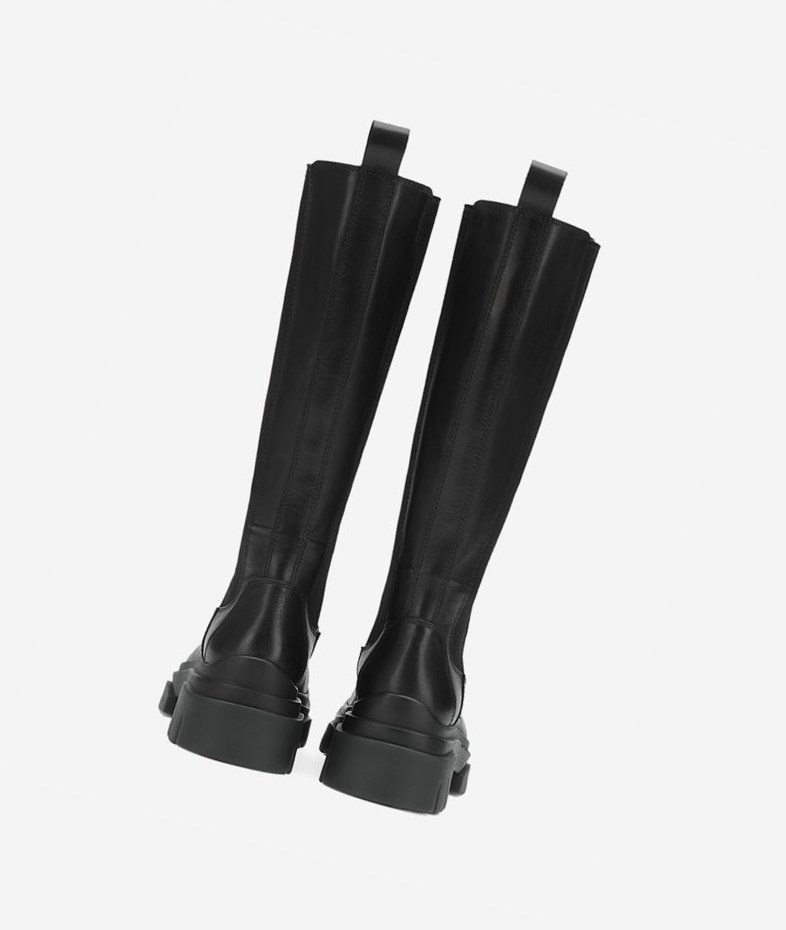 Bottes Moto ASH Stone Femme Noir | SEB-168493