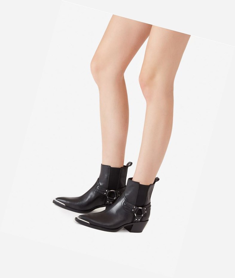 Bottines ASH Dusty Femme Noir | MDT-475921