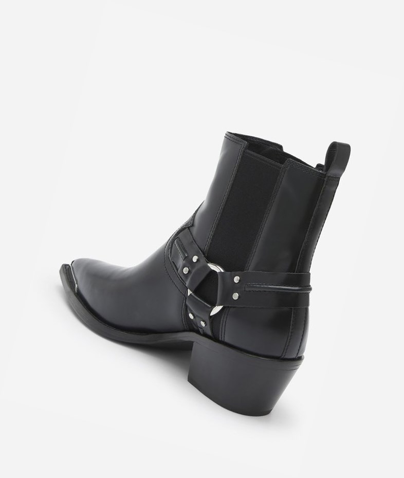 Bottines ASH Dusty Femme Noir | UZV-127840