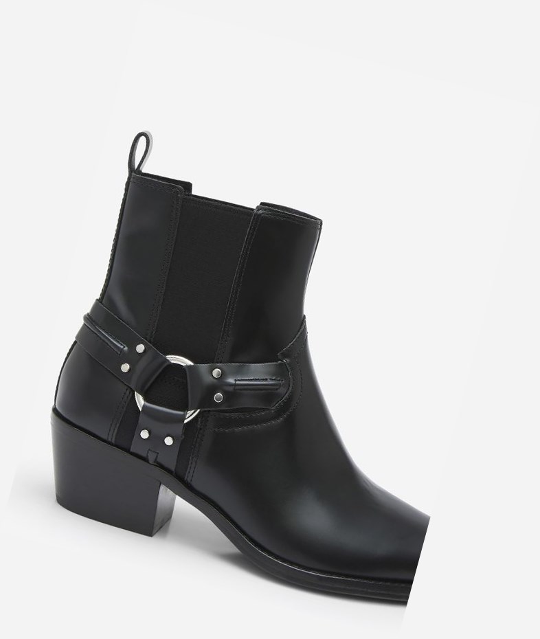 Bottines ASH Dusty Femme Noir | UZV-127840