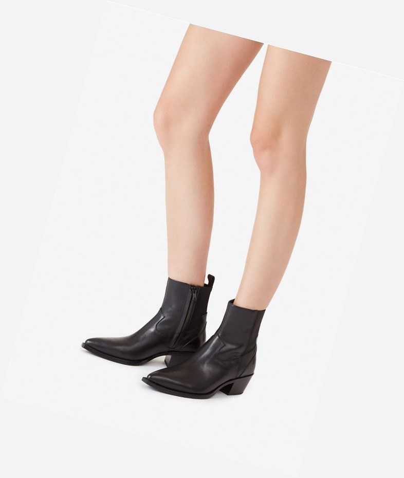 Bottines ASH Dylan Femme Noir | AZP-583406