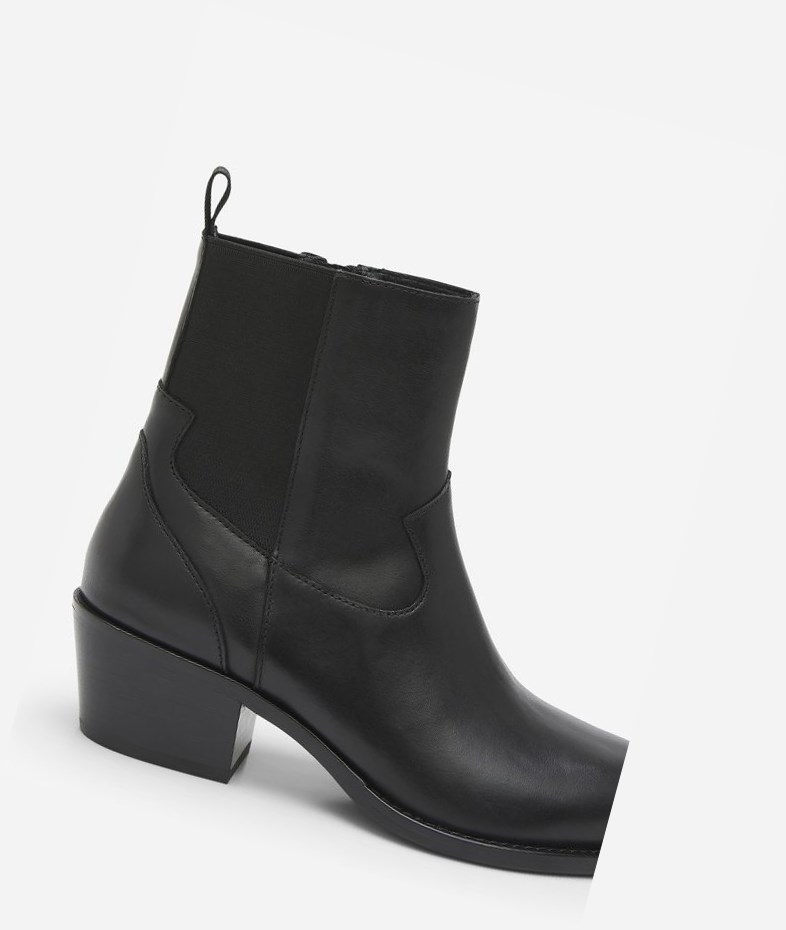 Bottines ASH Dylan Femme Noir | AZP-583406