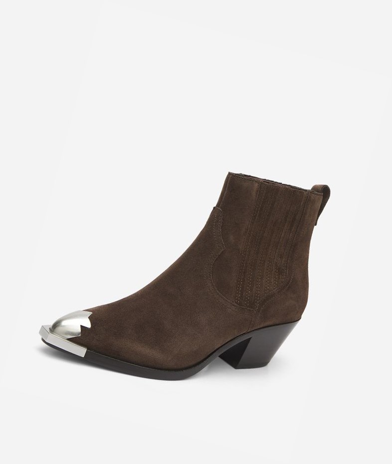 Bottines ASH Floyd Femme Espresso | GVL-935186