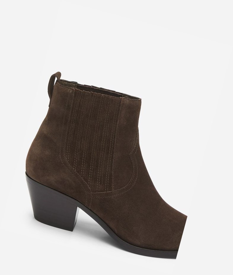 Bottines ASH Floyd Femme Espresso | GVL-935186