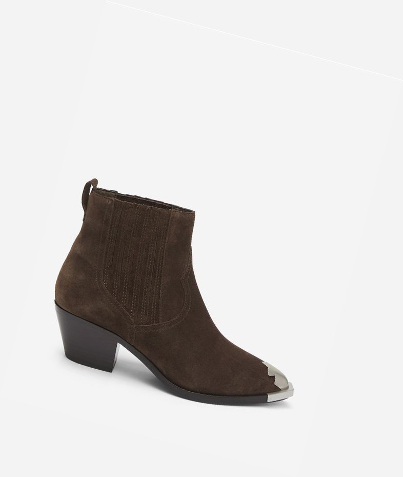 Bottines ASH Floyd Femme Espresso | GVL-935186