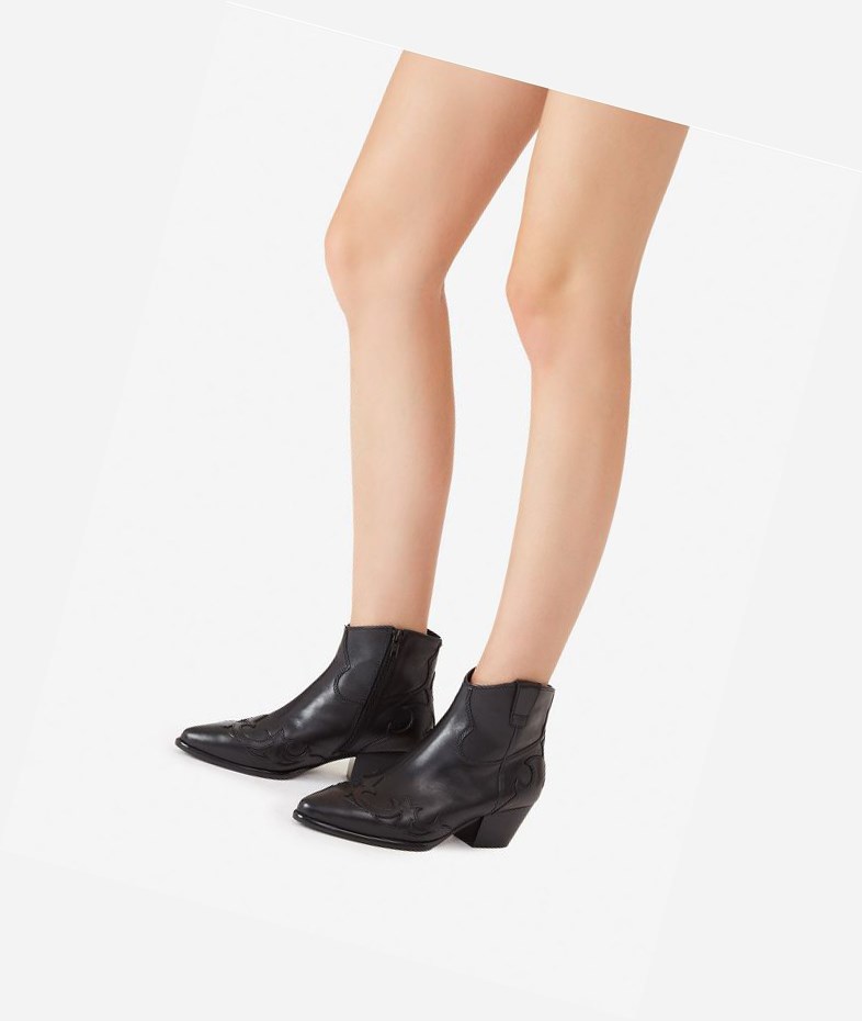 Bottines ASH Harlow Femme Noir | ZUA-625817