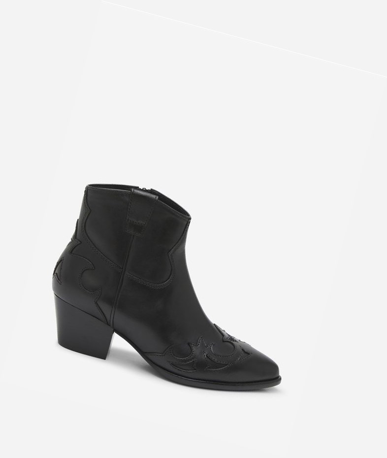 Bottines ASH Harlow Femme Noir | ZUA-625817