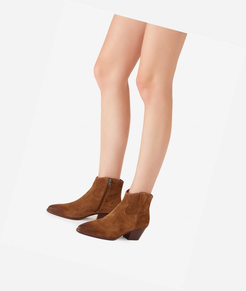 Bottines ASH Houston Femme Russet | BVR-547019