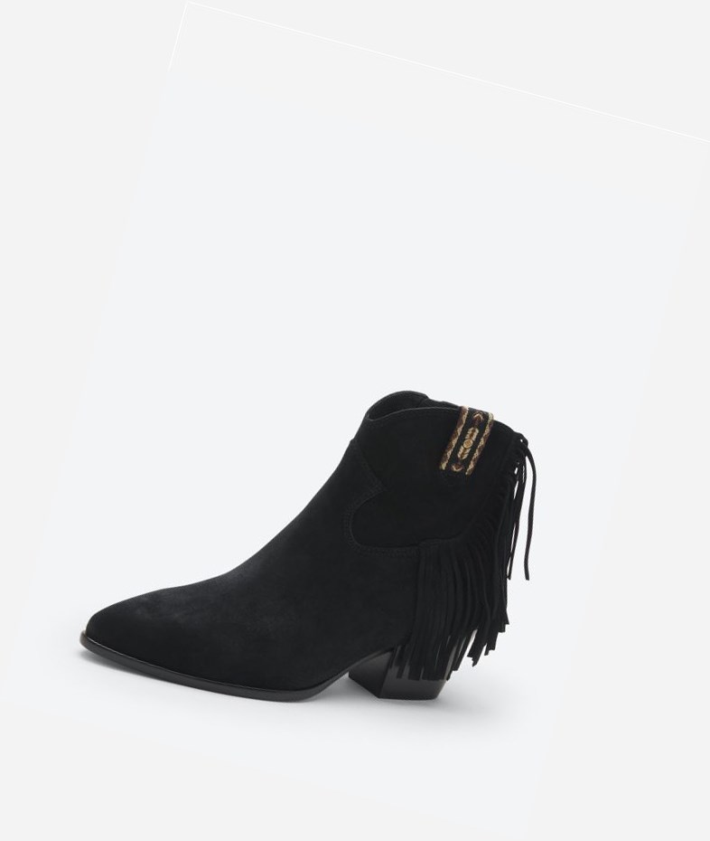 Bottines ASH Hysteria Femme Noir | LQF-863145