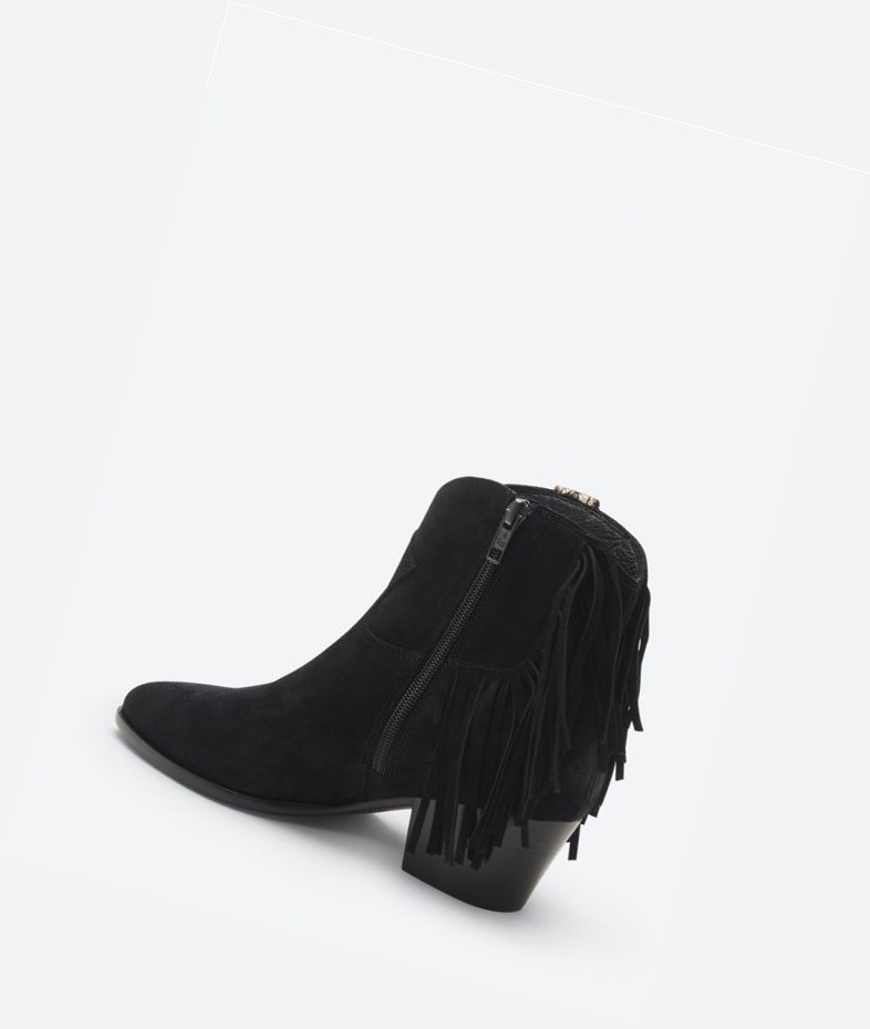 Bottines ASH Hysteria Femme Noir | LQF-863145