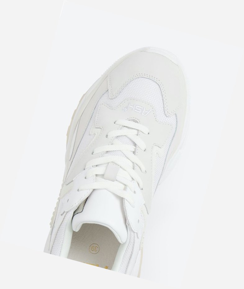 High-Top Sneakers ASH Addict Femme Blanche | QCD-852196