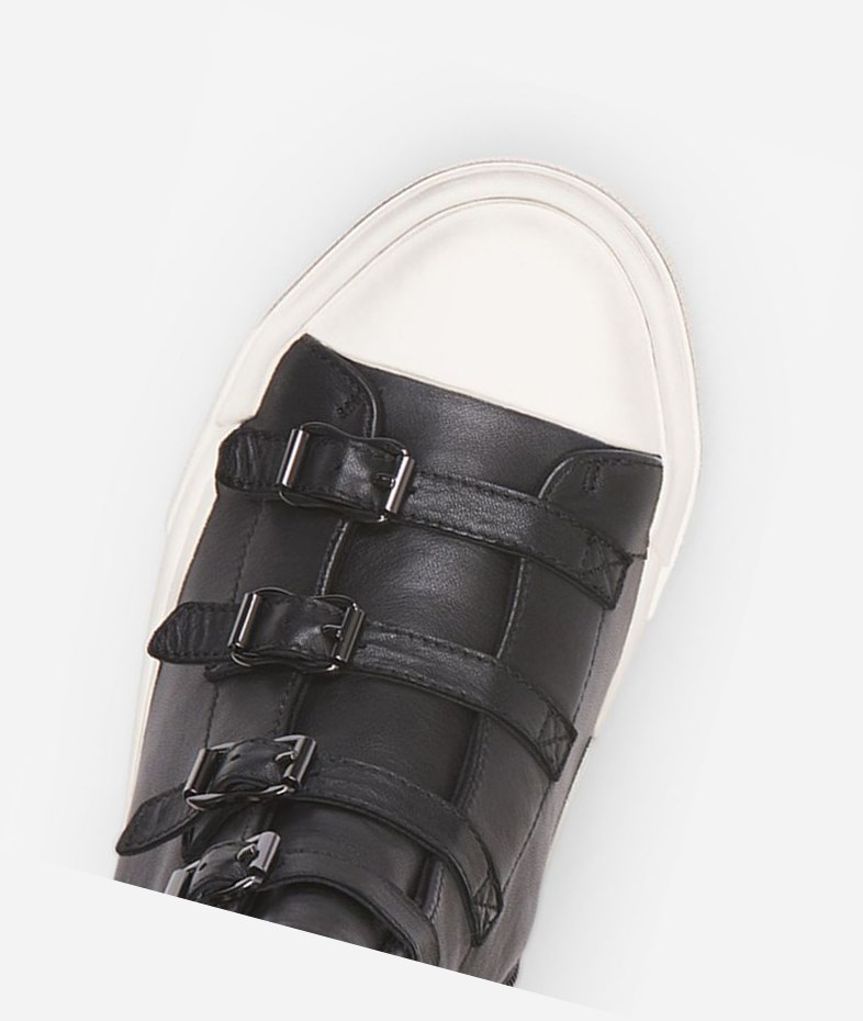 High-Top Sneakers ASH Gang Femme Noir | PCJ-907462