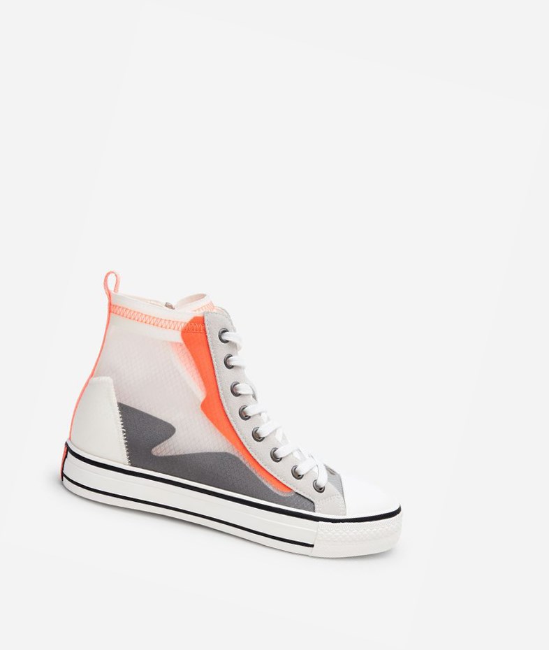 High-Top Sneakers ASH Gasper Femme Grise Orange | DWI-364527