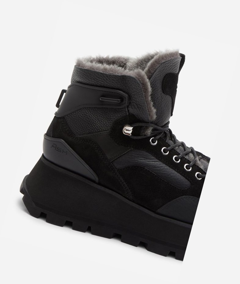 High-Top Sneakers ASH Sweet Femme Noir | NWJ-401956