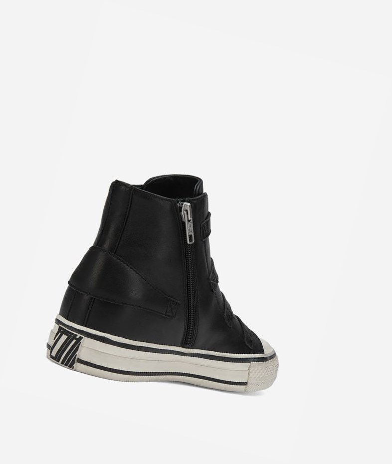 High-Top Sneakers ASH Virgin Femme Noir | XOA-024173