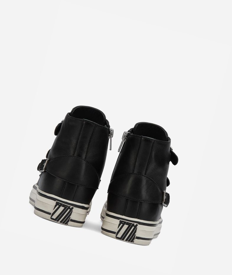 High-Top Sneakers ASH Virgin Femme Noir | XOA-024173