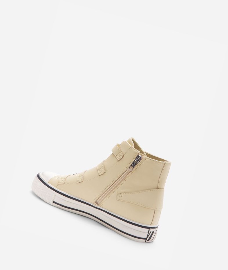 High-Top Sneakers ASH Virgin Femme Vaniglia | CBJ-804736