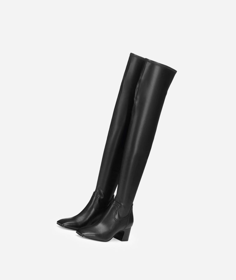 Long Boots ASH Clara Femme Noir | IZL-694058