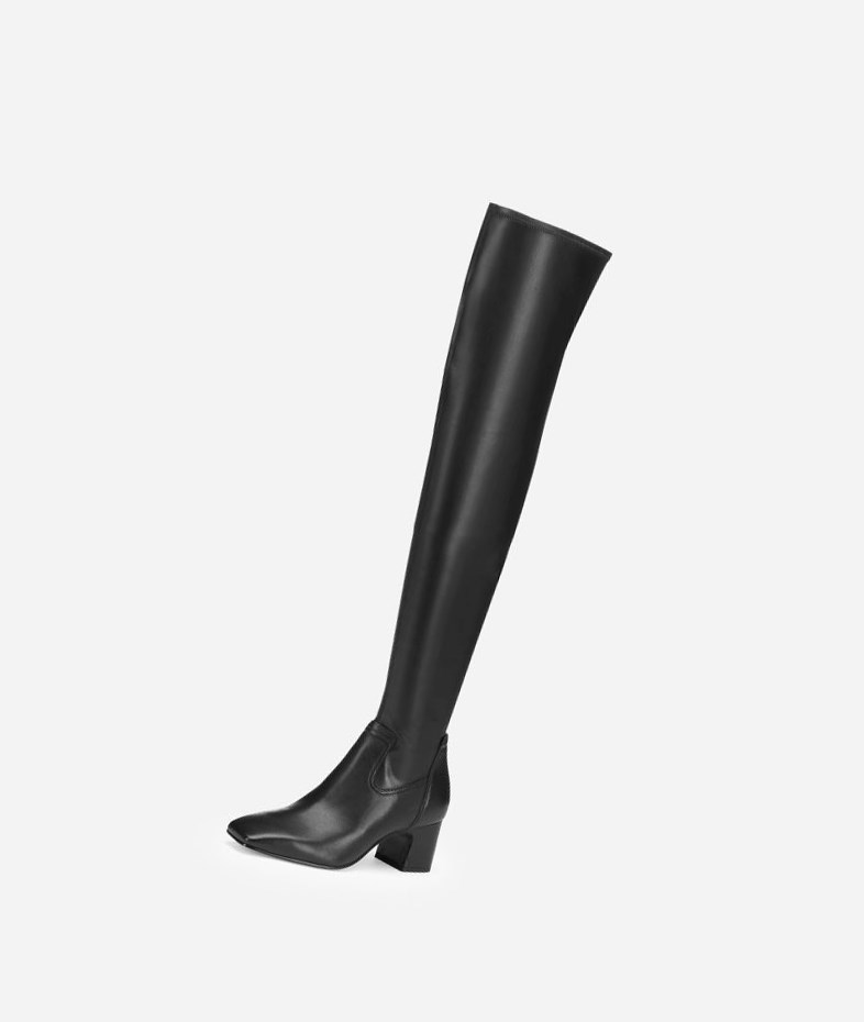 Long Boots ASH Clara Femme Noir | PLX-810537