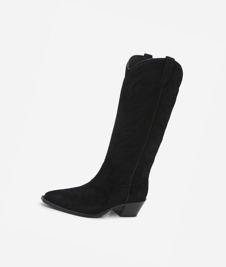 Long Boots ASH Delirium Femme Noir | HQZ-865714