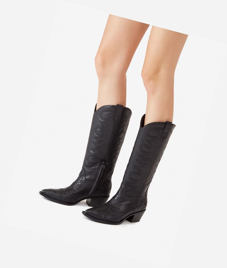 Long Boots ASH Dream Femme Noir | NFJ-314269