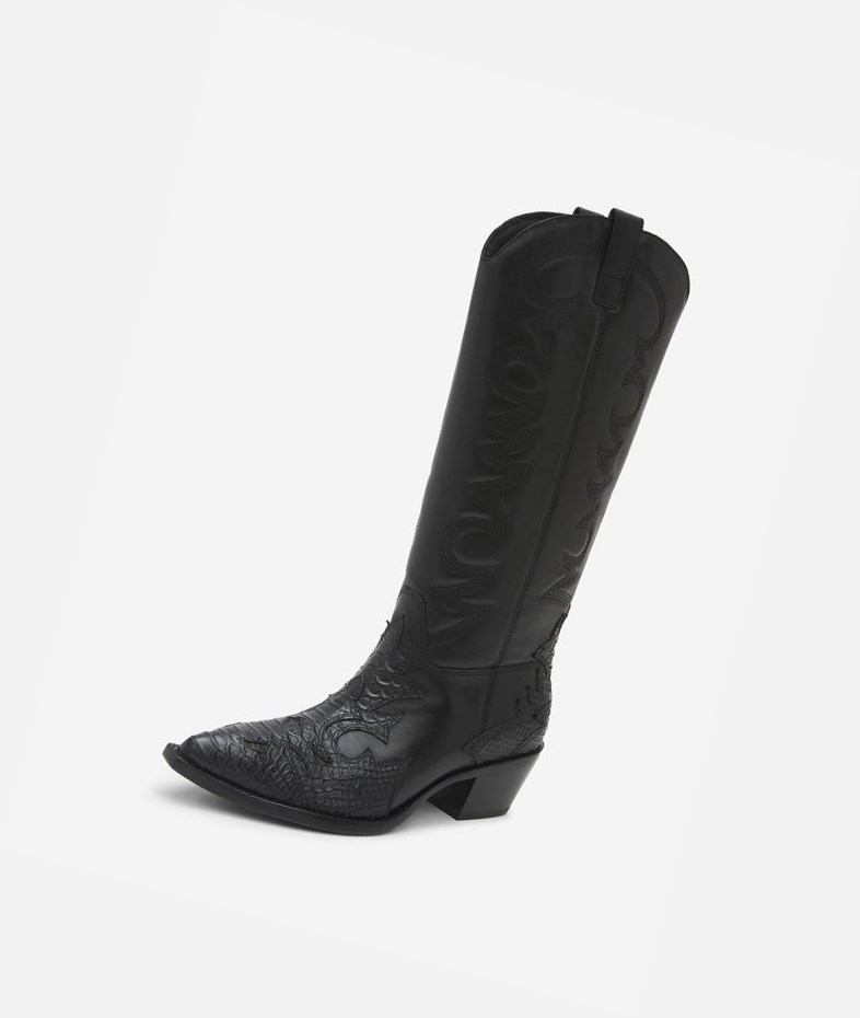 Long Boots ASH Dream Femme Noir | NFJ-314269