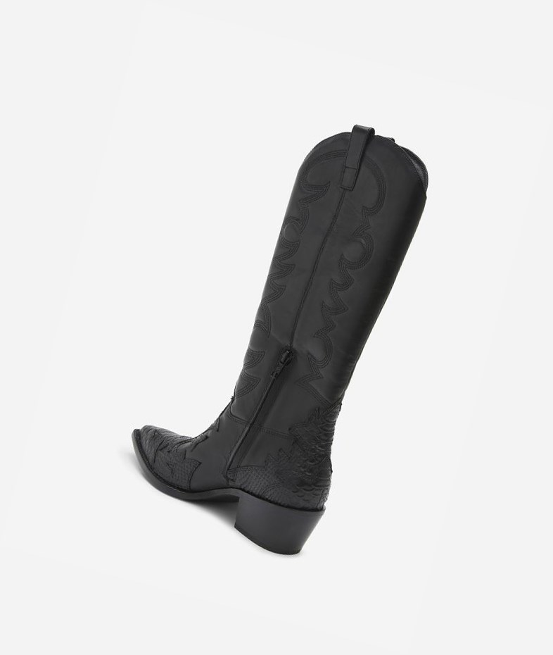 Long Boots ASH Dream Femme Noir | NFJ-314269