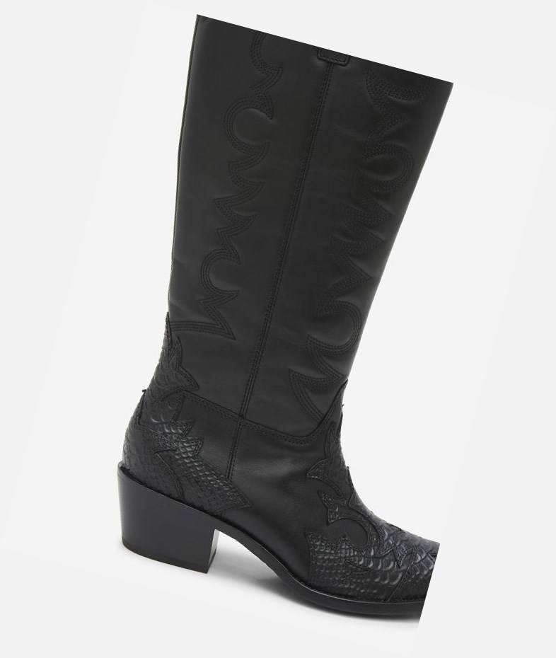 Long Boots ASH Dream Femme Noir | NFJ-314269