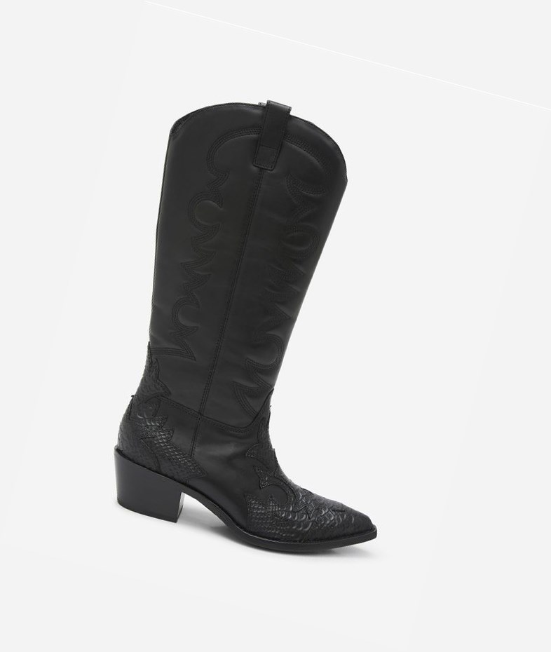 Long Boots ASH Dream Femme Noir | NFJ-314269