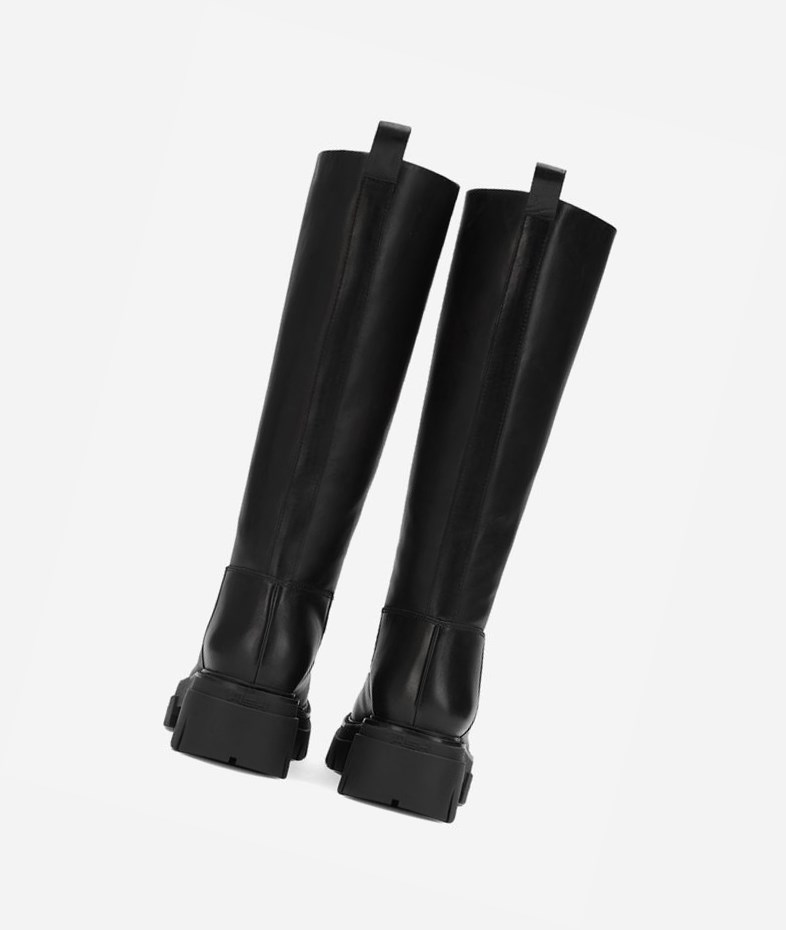 Long Boots ASH Lucky Femme Noir | CZM-153672