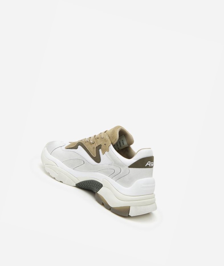 Low-Top Sneakers ASH ATOMIC Homme Blanche | TJP-180426