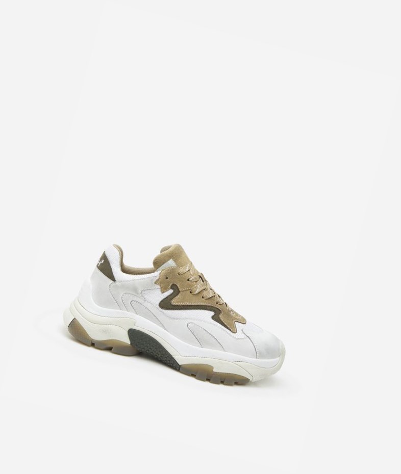 Low-Top Sneakers ASH ATOMIC Homme Blanche | TJP-180426