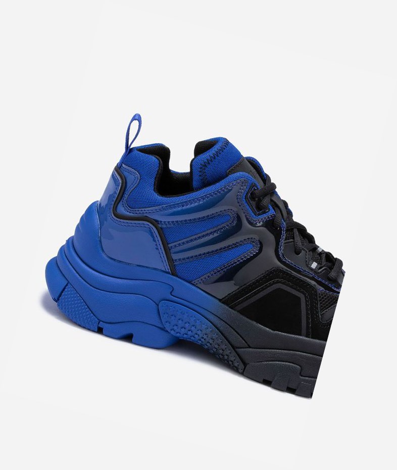 Low-Top Sneakers ASH Active Femme Noir Bleu | EMF-097231