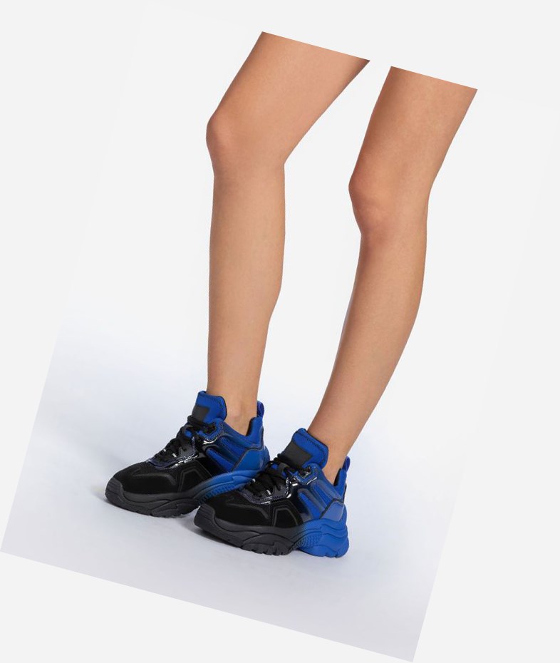 Low-Top Sneakers ASH Active Femme Noir Bleu | EMF-097231