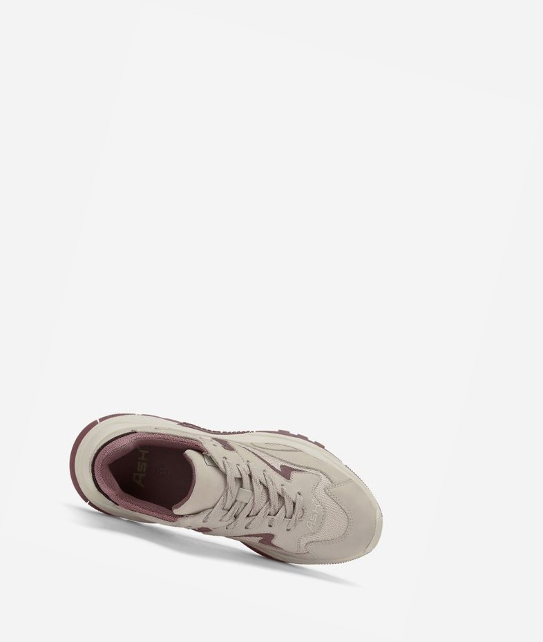 Low-Top Sneakers ASH Addict Femme Shell / Pinkwood / Ganache | NOC-317026