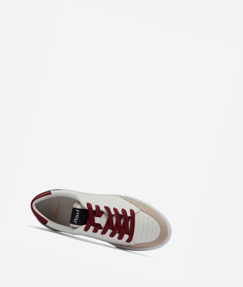 Low-Top Sneakers ASH Free Femme Noir Blanche Rouge | RKU-230651