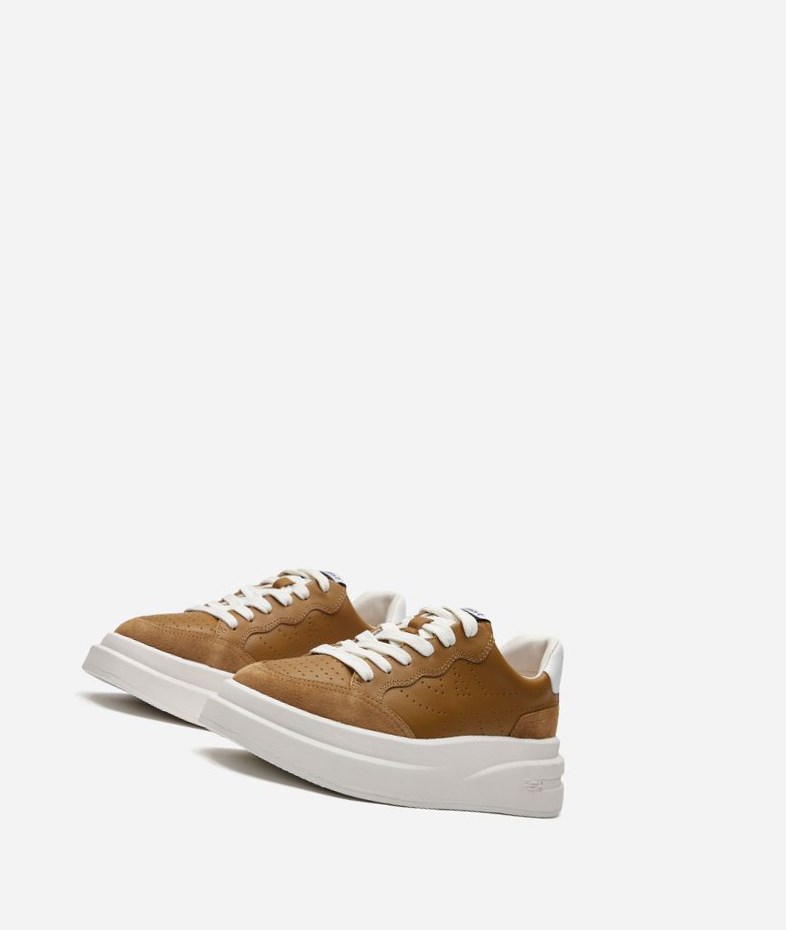 Low-Top Sneakers ASH Impuls Femme Marron Blanche | HON-593684