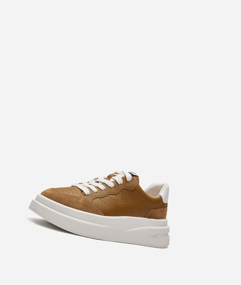 Low-Top Sneakers ASH Impuls Femme Marron Blanche | HON-593684