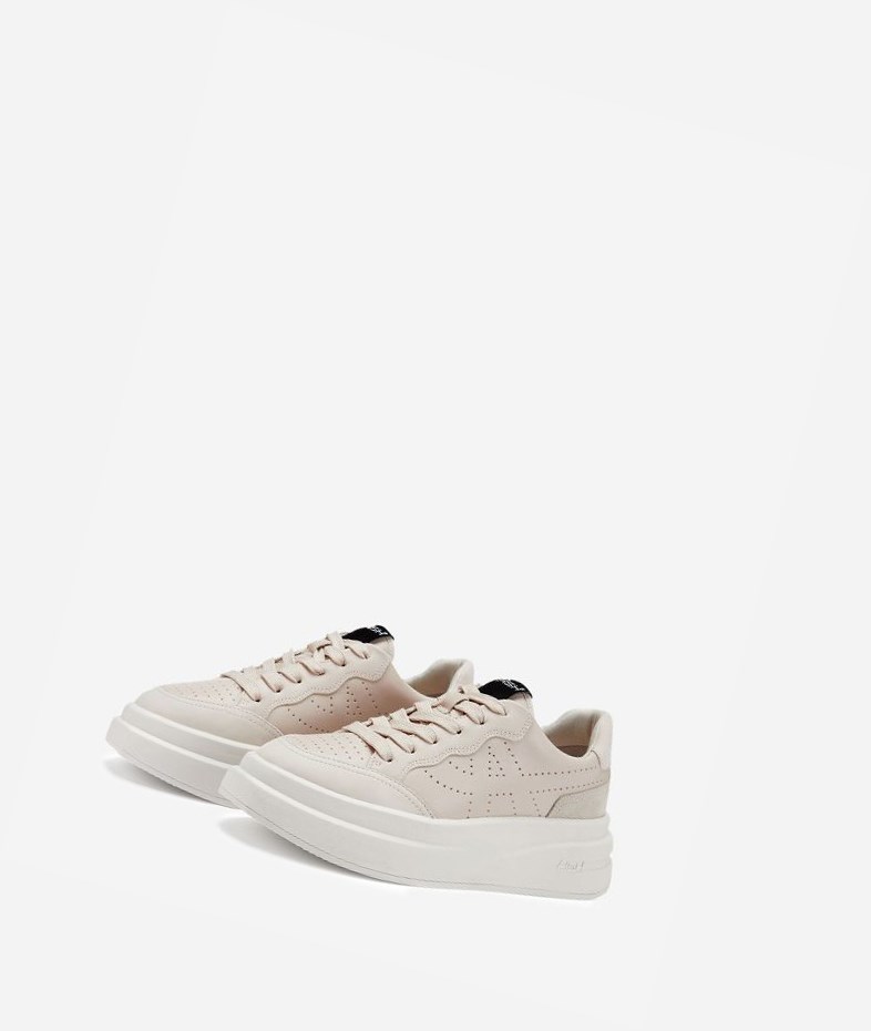 Low-Top Sneakers ASH Impuls Femme Shell | KOW-143965