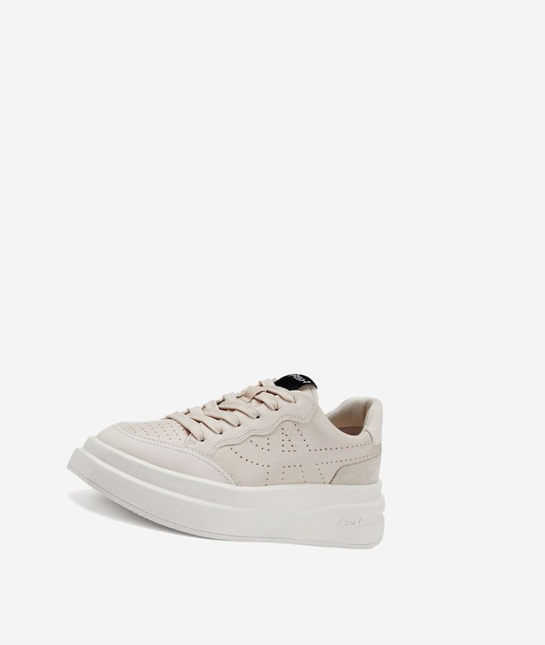 Low-Top Sneakers ASH Impuls Femme Shell | KOW-143965