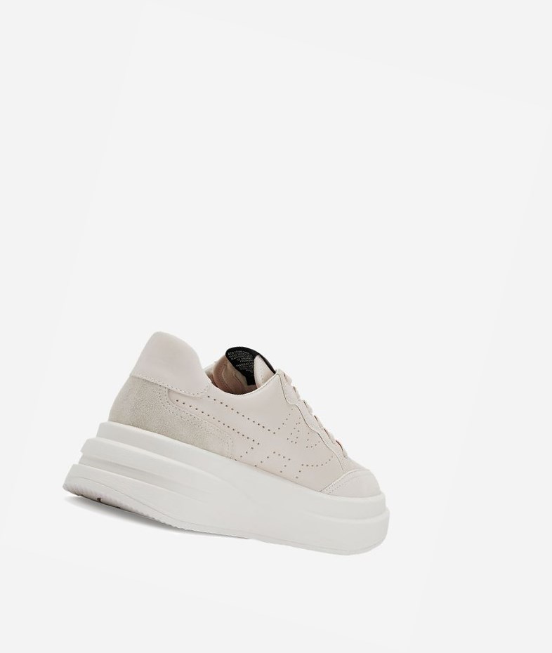 Low-Top Sneakers ASH Impuls Femme Shell | KOW-143965