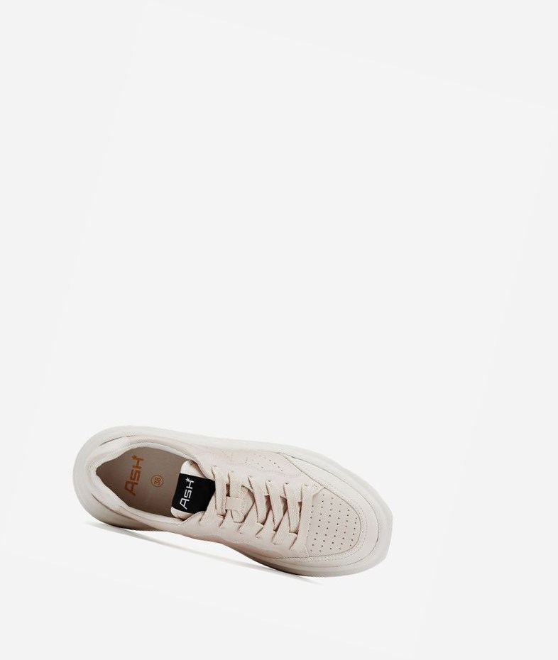 Low-Top Sneakers ASH Impuls Femme Shell | KOW-143965