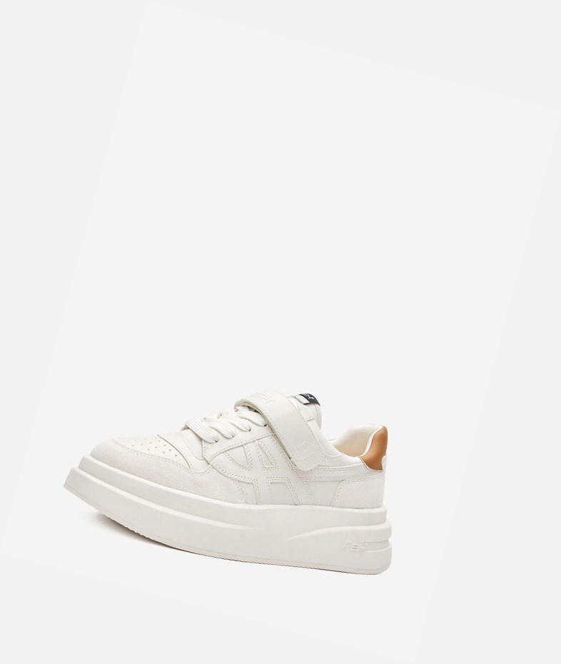 Low-Top Sneakers ASH Indy Femme Blanche Marron | GUW-172369