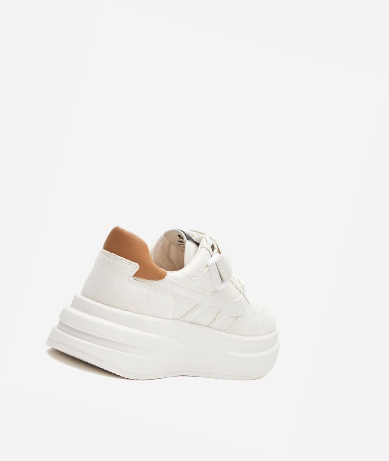 Low-Top Sneakers ASH Indy Femme Blanche Marron | GUW-172369