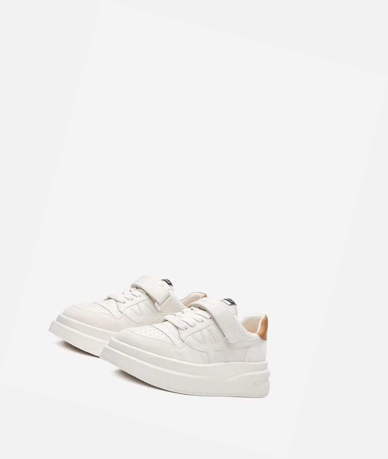 Low-Top Sneakers ASH Indy Femme Blanche Marron | YPX-587629