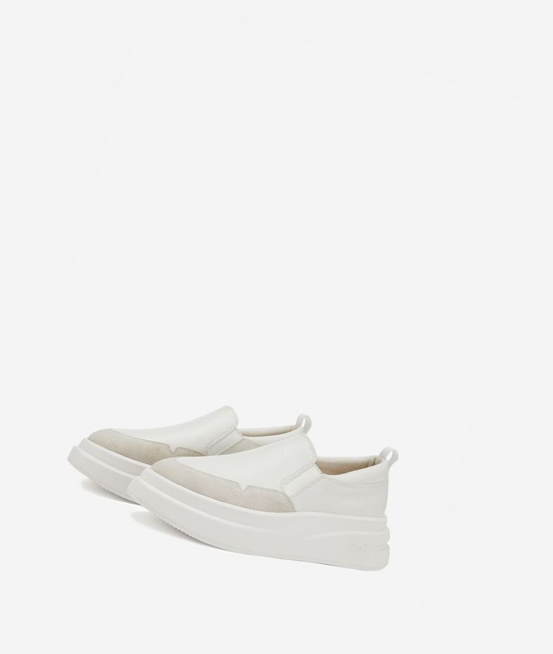 Low-Top Sneakers ASH Intox Femme Blanche Blanche | ANG-564172